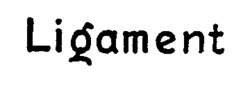 Ligament