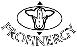 PROFINERGY