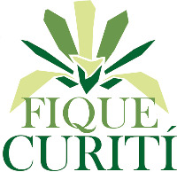 Fique Curití
