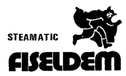 STEAMATIC fiseldem