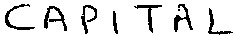 CAPITAL