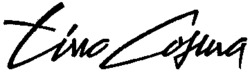 Tino Cosma