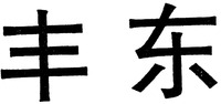 FENG DONG