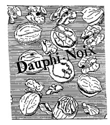 Dauphi-Noix