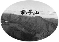 TAO ZI SHAN.