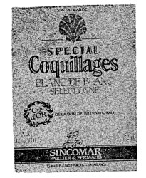 SPECIAL Coquillages