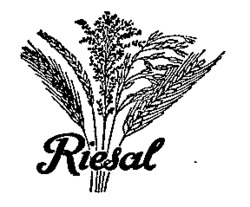 Riesal