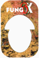 FUNGOK