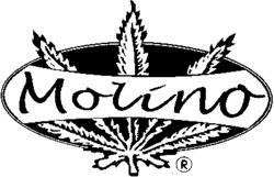 Molino