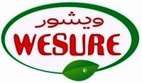 WESURE