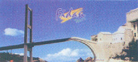 Fidan Tours