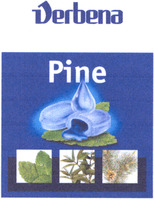 Verbena Pine
