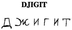 DJIGIT
