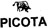PICOTA