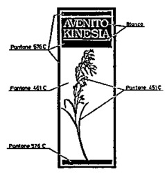 AVENITO KINESIA
