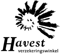 Havest verzekeringswinkel