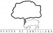DEHESA DE CANTILLANA