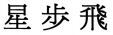 The applicant has advised that the Chinese characters appearing in the trade mark may be transliterated as XING BU FEI which may be translated into English as STAR BUFFET. 