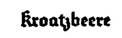 Kroatzbeere
