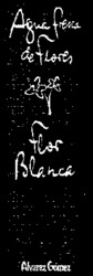 Agua Fresca de Flores Flor Blanca