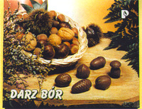 DARZ BÓR