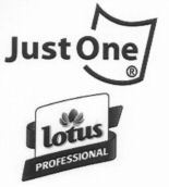 JUST ONE LOTUS PROFESSIONAL