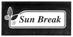 Sun Break
