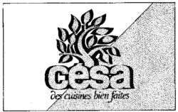 césa des cuisines bien faites