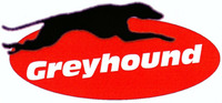Greyhound