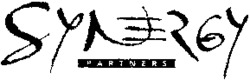 SYNERGY PARTNERS