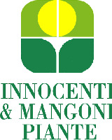 INNOCENTI & MANGONI PIANTE