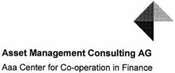 Asset Management Consulting AG