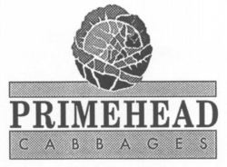 PRIMEHEAD CABBAGES