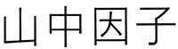 SHAN ZHONG YIN ZI
