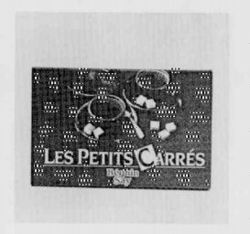 LES PETITS CARRÉS