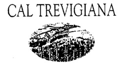 CAL TREVIGIANA