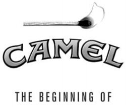 CAMEL THE BEGINNING OF