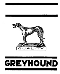 GREYHOUND
