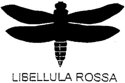 LIBELLULA ROSSA
