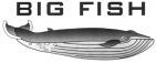 BIG FISH