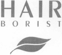HAIR BORIST
