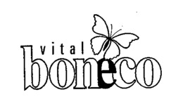 vital boneco