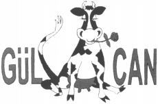 GÜL CAN