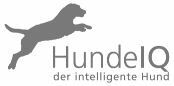 HundelQ der intelligente Hund