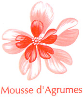 Mousse d'Agrumes