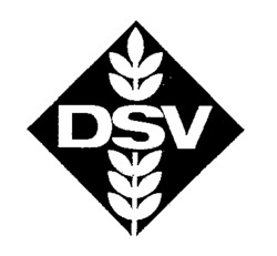 DSV