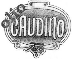 olio CAUDINO