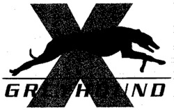 X GREYHOUND