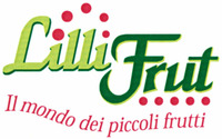 Lilli Frut Il mondo dei piccoli frutti