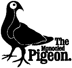 The Monocled Pigeon.